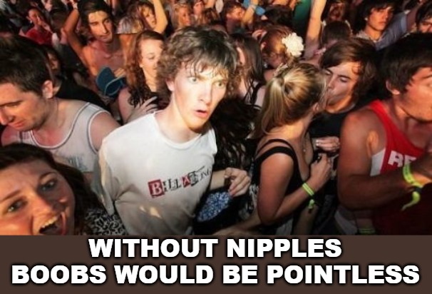 Sudden Clarity Clarence Meme | WITHOUT NIPPLES BOOBS WOULD BE POINTLESS | image tagged in memes,sudden clarity clarence | made w/ Imgflip meme maker