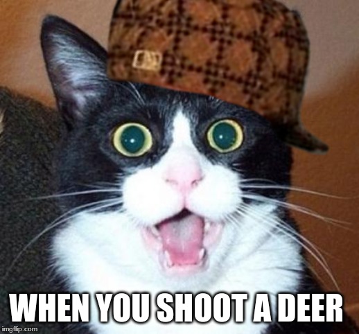 WHEN YOU SHOOT A DEER | image tagged in happy cat | made w/ Imgflip meme maker