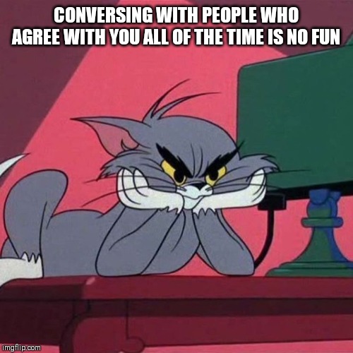 CONVERSING WITH PEOPLE WHO AGREE WITH YOU ALL OF THE TIME IS NO FUN | made w/ Imgflip meme maker