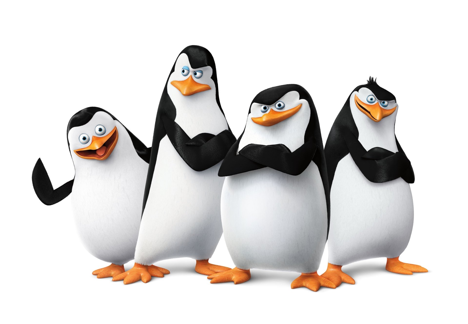 the penguins of madagascar Blank Meme Template