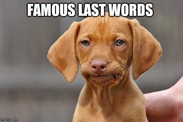 Dissapointed puppy | FAMOUS LAST WORDS | image tagged in dissapointed puppy | made w/ Imgflip meme maker