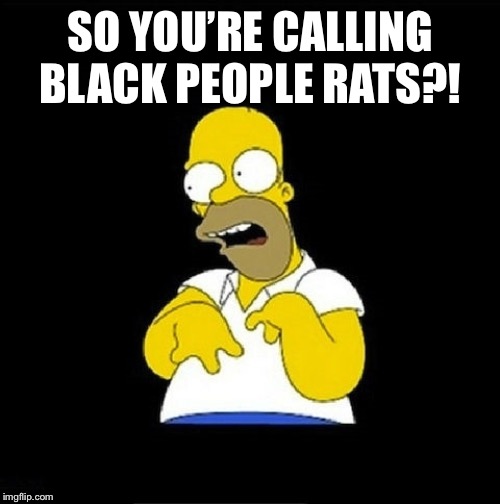 Homer Simpson Retarded | SO YOU’RE CALLING BLACK PEOPLE RATS?! | image tagged in homer simpson retarded | made w/ Imgflip meme maker