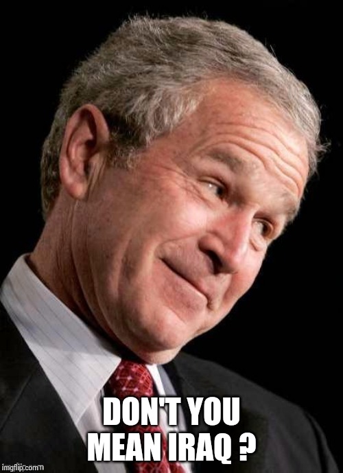 George W. Bush Blame  | DON'T YOU MEAN IRAQ ? | image tagged in george w bush blame | made w/ Imgflip meme maker