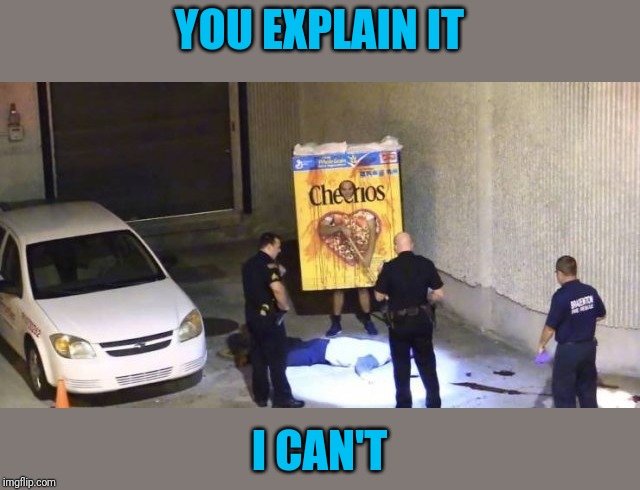 When you're not sure what you're looking at |  YOU EXPLAIN IT; I CAN'T | image tagged in cheerios | made w/ Imgflip meme maker