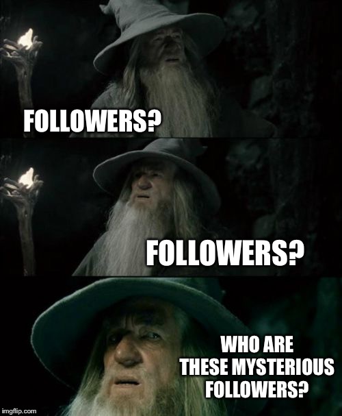 Who are they? | FOLLOWERS? FOLLOWERS? WHO ARE THESE MYSTERIOUS FOLLOWERS? | image tagged in memes,confused gandalf | made w/ Imgflip meme maker