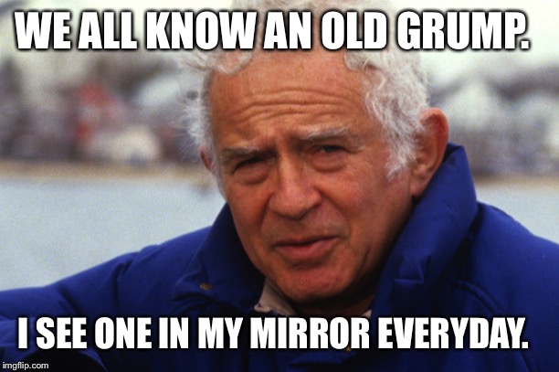norman mailer | WE ALL KNOW AN OLD GRUMP. I SEE ONE IN MY MIRROR EVERYDAY. | image tagged in norman mailer | made w/ Imgflip meme maker