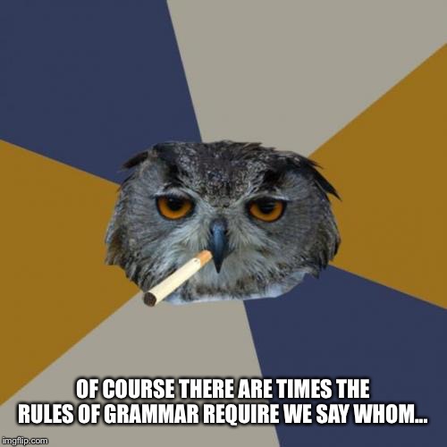 Art Student Owl |  OF COURSE THERE ARE TIMES THE RULES OF GRAMMAR REQUIRE WE SAY WHOM... | image tagged in memes,art student owl | made w/ Imgflip meme maker
