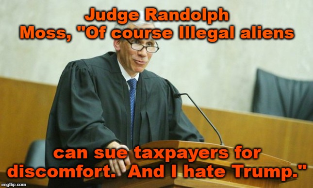 Judge Moss Okays Illegals to Sue U.S. Taxpayers | Judge Randolph Moss, "Of course Illegal aliens; can sue taxpayers for discomfort.  And I hate Trump." | image tagged in randolph moss,trump,illegal aliens,taxpayers,liberals | made w/ Imgflip meme maker