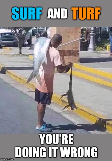 He’ll never get that fish smell out.  But it is a salmon shirt, so... | TURF; AND; SURF; YOU’RE DOING IT WRONG | image tagged in fish,lizard,seafood,you're doing it wrong,funny memes | made w/ Imgflip meme maker