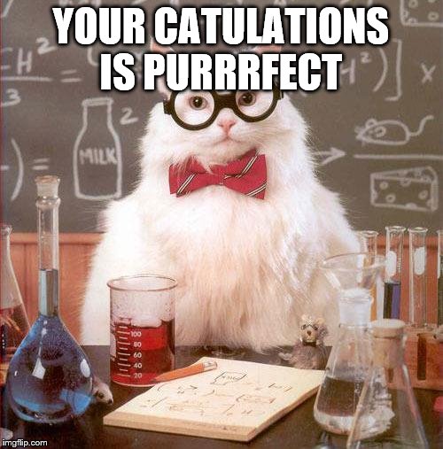 Science Cat | YOUR CATULATIONS IS PURRRFECT | image tagged in science cat | made w/ Imgflip meme maker