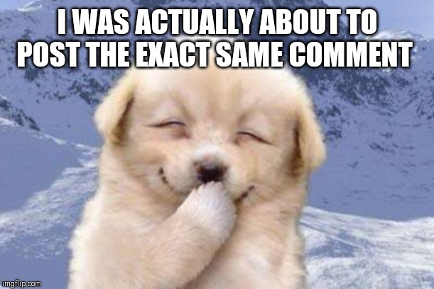 Laughing dog | I WAS ACTUALLY ABOUT TO POST THE EXACT SAME COMMENT | image tagged in laughing dog | made w/ Imgflip meme maker