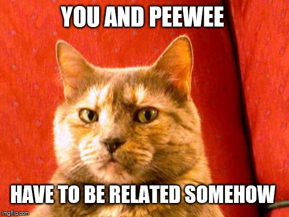 Suspicious Cat Meme | YOU AND PEEWEE HAVE TO BE RELATED SOMEHOW | image tagged in memes,suspicious cat | made w/ Imgflip meme maker