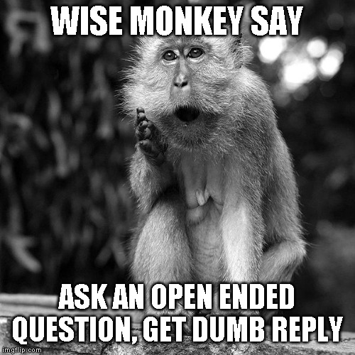 Wise Monkey | WISE MONKEY SAY ASK AN OPEN ENDED QUESTION, GET DUMB REPLY | image tagged in wise monkey | made w/ Imgflip meme maker