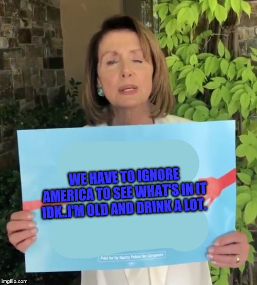 Pelosi sign  | WE HAVE TO IGNORE AMERICA TO SEE WHAT'S IN IT IDK..I'M OLD AND DRINK A LOT. | image tagged in pelosi sign | made w/ Imgflip meme maker