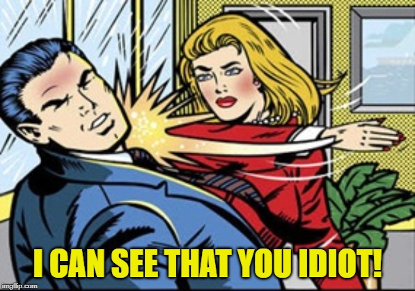 Slap | I CAN SEE THAT YOU IDIOT! | image tagged in slap | made w/ Imgflip meme maker