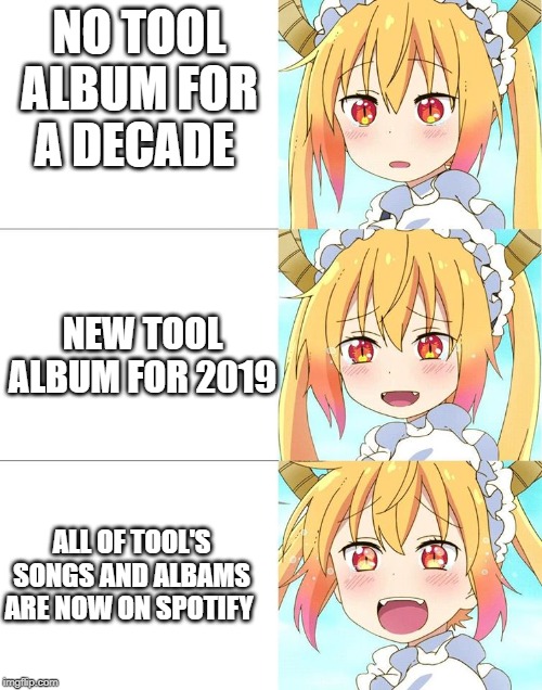 happy torhu | NO TOOL ALBUM FOR A DECADE; NEW TOOL ALBUM FOR 2019; ALL OF TOOL'S SONGS AND ALBAMS ARE NOW ON SPOTIFY | image tagged in happy torhu | made w/ Imgflip meme maker