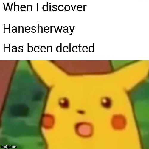 Surprised Pikachu | When I discover; Hanesherway; Has been deleted | image tagged in memes,surprised pikachu | made w/ Imgflip meme maker