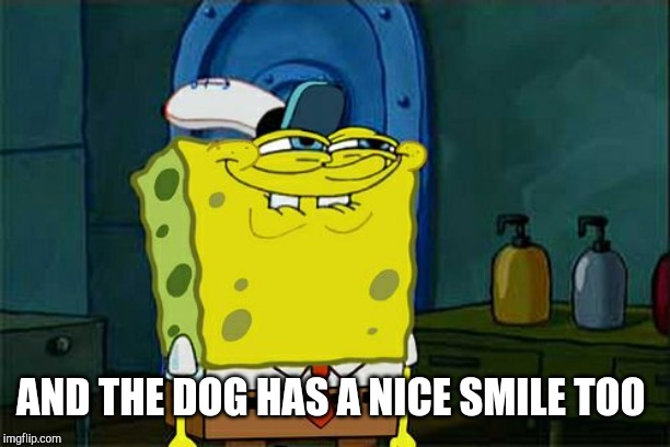 Don't You Squidward Meme | AND THE DOG HAS A NICE SMILE TOO | image tagged in memes,dont you squidward | made w/ Imgflip meme maker