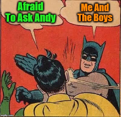 Batman Slapping Robin Meme | Afraid To Ask Andy Me And The Boys | image tagged in memes,batman slapping robin | made w/ Imgflip meme maker