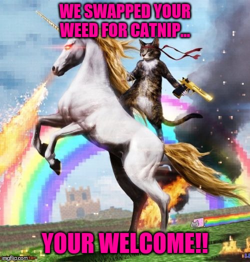 Welcome To The Internets | WE SWAPPED YOUR WEED FOR CATNIP... YOUR WELCOME!! | image tagged in memes,welcome to the internets | made w/ Imgflip meme maker