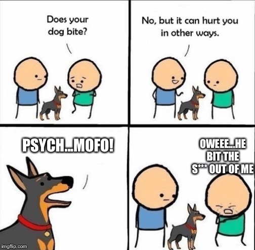 does your dog bite | OWEEE...HE BIT THE S*** OUT OF ME; PSYCH...MOFO! | image tagged in does your dog bite | made w/ Imgflip meme maker