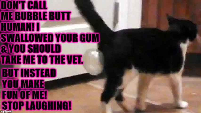 BUBBLE BUTT | DON'T CALL ME BUBBLE BUTT HUMAN! I SWALLOWED YOUR GUM & YOU SHOULD TAKE ME TO THE VET. BUT INSTEAD YOU MAKE FUN OF ME! STOP LAUGHING! | image tagged in bubble butt | made w/ Imgflip meme maker