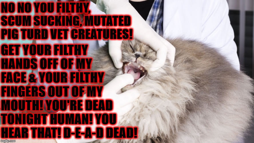 FILTHY VET CREATURES | NO NO YOU FILTHY, SCUM SUCKING, MUTATED PIG TURD VET CREATURES! GET YOUR FILTHY HANDS OFF OF MY FACE & YOUR FILTHY FINGERS OUT OF MY MOUTH! YOU'RE DEAD TONIGHT HUMAN! YOU HEAR THAT! D-E-A-D DEAD! | image tagged in filthy vet creatures | made w/ Imgflip meme maker