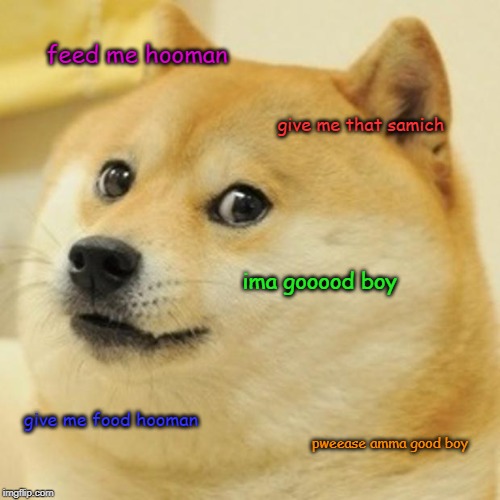 Doge Meme | feed me hooman; give me that samich; ima gooood boy; give me food hooman; pweease amma good boy | image tagged in memes,doge | made w/ Imgflip meme maker