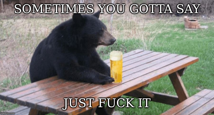 apologies to you know | SOMETIMES YOU GOTTA SAY JUST F**K IT | image tagged in bad luck bear with beer | made w/ Imgflip meme maker