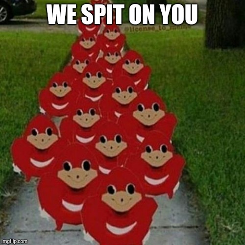 WE SPIT ON YOU | image tagged in ugandan knuckles army | made w/ Imgflip meme maker