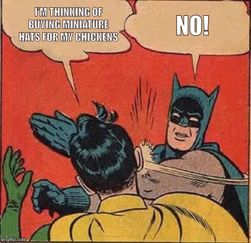 Batman Slapping Robin | NO! I’M THINKING OF BUYING MINIATURE HATS FOR MY CHICKENS | image tagged in memes,batman slapping robin | made w/ Imgflip meme maker