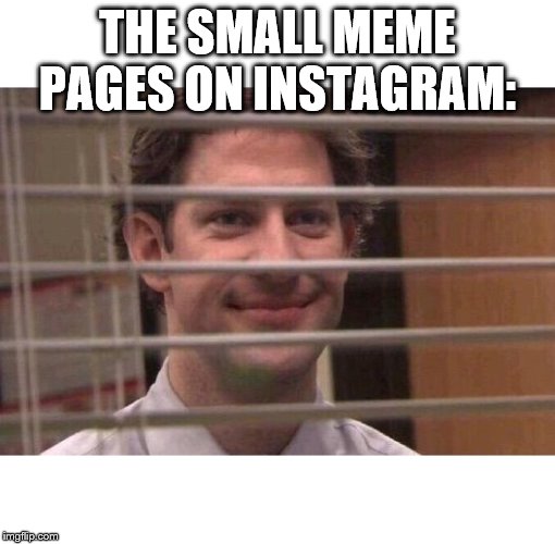 Jim Office Blinds | THE SMALL MEME PAGES ON INSTAGRAM: | image tagged in jim office blinds | made w/ Imgflip meme maker
