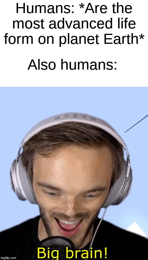 Pewdiepie big brain | Humans: *Are the most advanced life form on planet Earth* Also humans: | image tagged in pewdiepie big brain | made w/ Imgflip meme maker