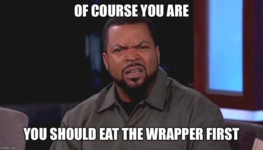 Really? Ice Cube | OF COURSE YOU ARE YOU SHOULD EAT THE WRAPPER FIRST | image tagged in really ice cube | made w/ Imgflip meme maker