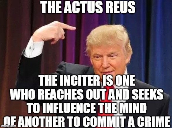 The Inciter | THE ACTUS REUS; THE INCITER IS ONE WHO REACHES OUT AND SEEKS TO INFLUENCE THE MIND OF ANOTHER TO COMMIT A CRIME | image tagged in the actus reus,incitement,donald trump,hate speech | made w/ Imgflip meme maker