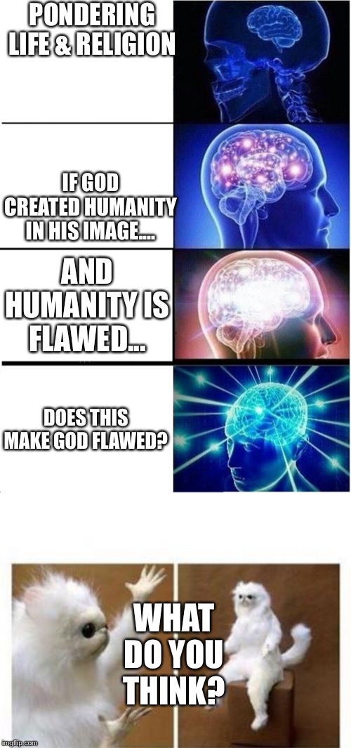 PONDERING LIFE & RELIGION; IF GOD CREATED HUMANITY IN HIS IMAGE.... AND HUMANITY IS FLAWED... DOES THIS MAKE GOD FLAWED? WHAT DO YOU THINK? | image tagged in memes,expanding brain,confused white monkey | made w/ Imgflip meme maker