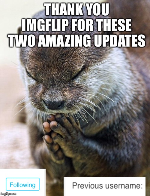 This is awesome! Keep it up! | THANK YOU IMGFLIP FOR THESE TWO AMAZING UPDATES | image tagged in thank you lord otter,imgflip,updates,awesome | made w/ Imgflip meme maker