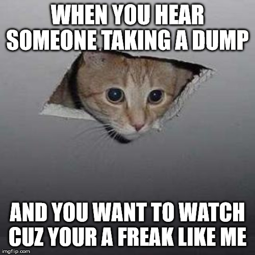 Ceiling Cat | WHEN YOU HEAR SOMEONE TAKING A DUMP; AND YOU WANT TO WATCH CUZ YOUR A FREAK LIKE ME | image tagged in memes,ceiling cat | made w/ Imgflip meme maker