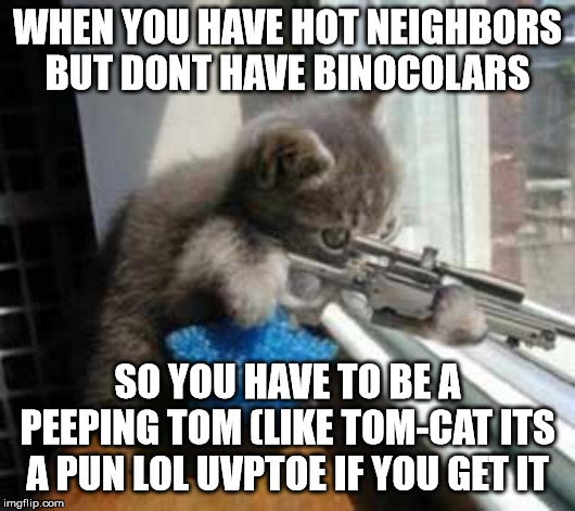we've all been here lol | WHEN YOU HAVE HOT NEIGHBORS BUT DONT HAVE BINOCOLARS; SO YOU HAVE TO BE A PEEPING TOM (LIKE TOM-CAT ITS A PUN LOL UVPTOE IF YOU GET IT | image tagged in catsniper,funny,neighbors,neighborhood,peeping tom,bionicle | made w/ Imgflip meme maker