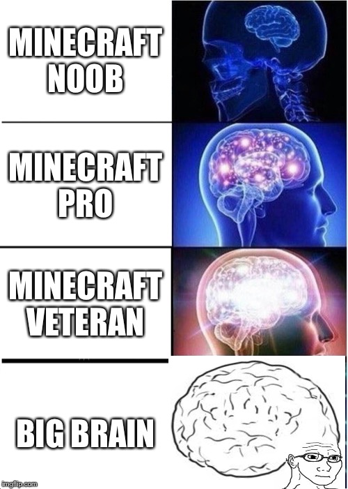 Expanding Brain Meme template used by pro-PPC meme group.