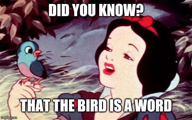 Snow White Dispatch |  DID YOU KNOW? THAT THE BIRD IS A WORD | image tagged in snow white dispatch | made w/ Imgflip meme maker