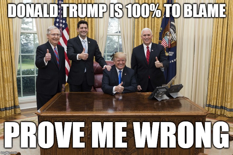 100% | DONALD TRUMP IS 100% TO BLAME; PROVE ME WRONG | image tagged in donald trump,hate speech,gun laws,executive orders | made w/ Imgflip meme maker