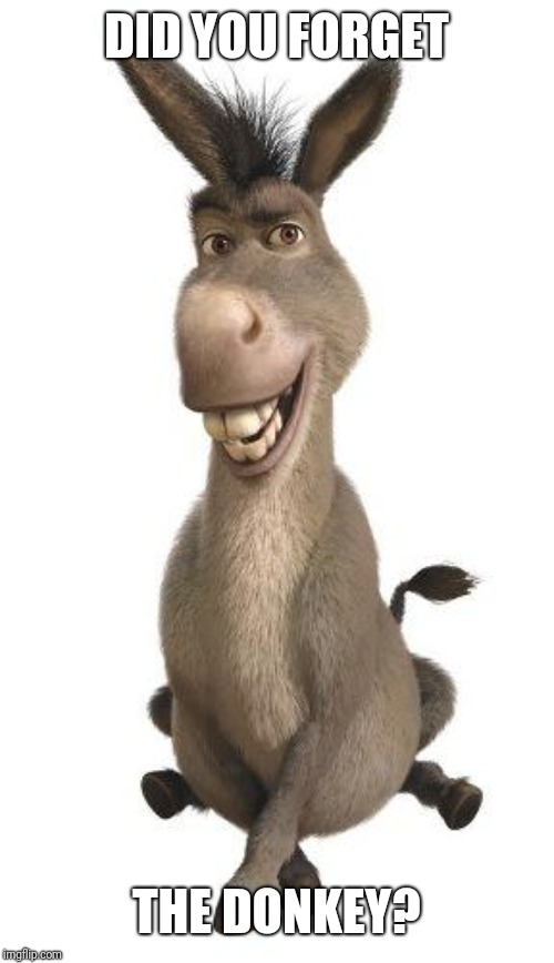 Donkey from Shrek | DID YOU FORGET THE DONKEY? | image tagged in donkey from shrek | made w/ Imgflip meme maker