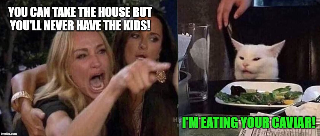This meme template doesn't make much sense so I filled it in for you. | YOU CAN TAKE THE HOUSE BUT
YOU'LL NEVER HAVE THE KIDS! I'M EATING YOUR CAVIAR! | image tagged in woman yelling at cat,memes,caviar,divorce,kids | made w/ Imgflip meme maker