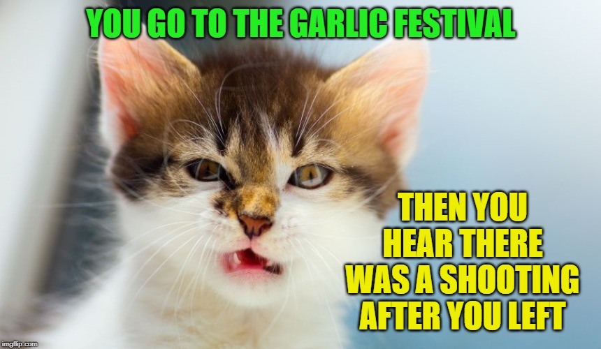Not trying to capitalize on a tragedy. It's just been a strange week knowing what happened. | YOU GO TO THE GARLIC FESTIVAL; THEN YOU HEAR THERE WAS A SHOOTING AFTER YOU LEFT | image tagged in i can has aspergers,so true memes,gilroy garlic festival,mass shootings | made w/ Imgflip meme maker