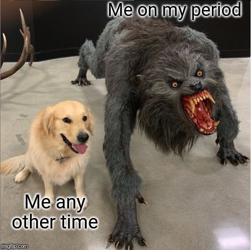 dog vs werewolf | Me on my period; Me any other time | image tagged in dog vs werewolf | made w/ Imgflip meme maker