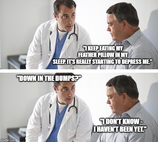 Doctor and Patient | "I KEEP EATING MY FEATHER PILLOW IN MY SLEEP. IT'S REALLY STARTING TO DEPRESS ME."; "DOWN IN THE DUMPS?"; "I DON'T KNOW - I HAVEN'T BEEN YET." | image tagged in doctor and patient | made w/ Imgflip meme maker