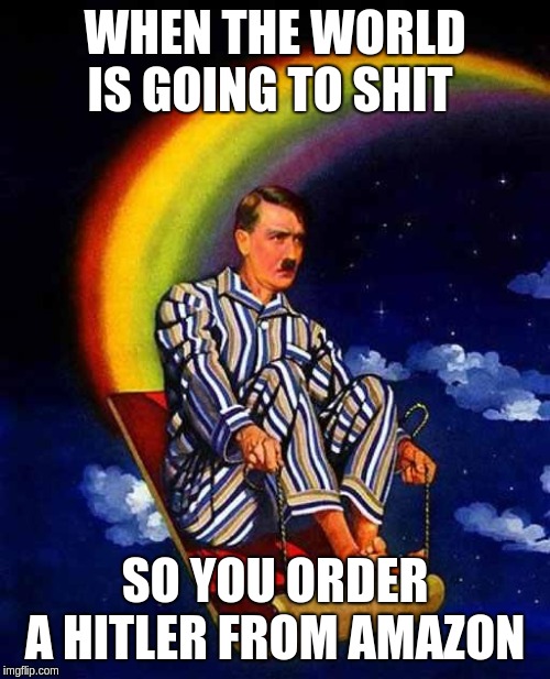 Random Hitler | WHEN THE WORLD IS GOING TO SHIT; SO YOU ORDER A HITLER FROM AMAZON | image tagged in random hitler | made w/ Imgflip meme maker