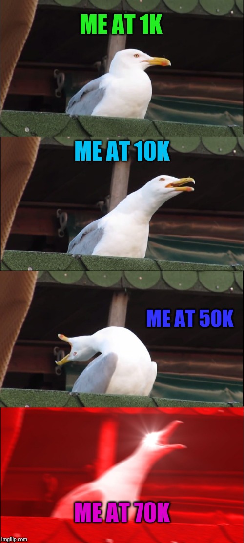 Thanks a lot for 70k | ME AT 1K; ME AT 10K; ME AT 50K; ME AT 70K | image tagged in memes,inhaling seagull | made w/ Imgflip meme maker