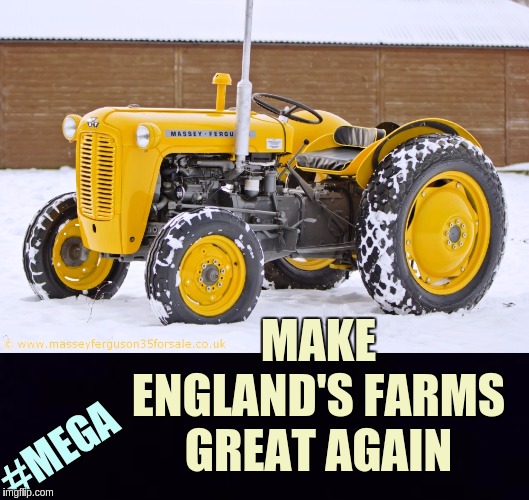 #MEGA ! | MAKE ENGLAND'S FARMS GREAT AGAIN; #MEGA | image tagged in farm,farmer,farmers,president trump,the great awakening | made w/ Imgflip meme maker